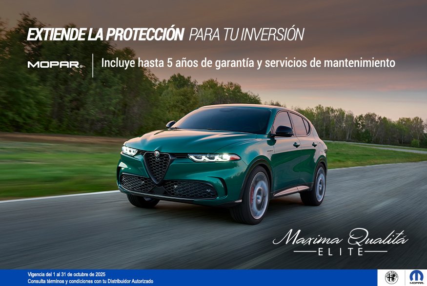 maxima qualita 875x587