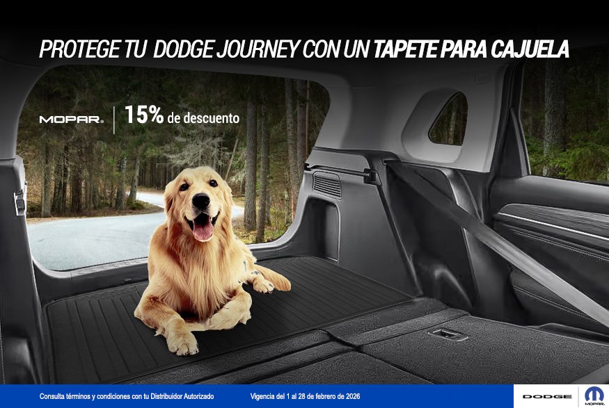 tapete cajuela 875x587